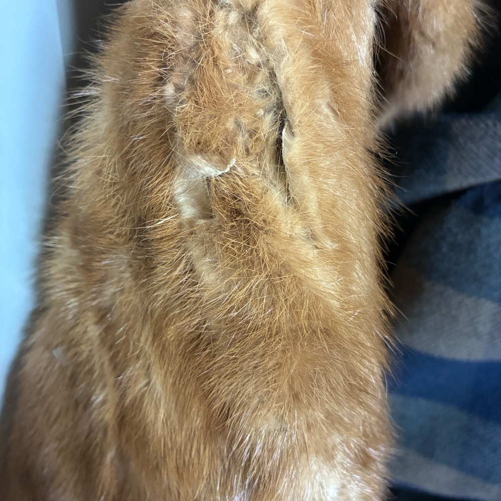 Gordon Saint Paul Brown Fur Coat - Picture 3 of 3